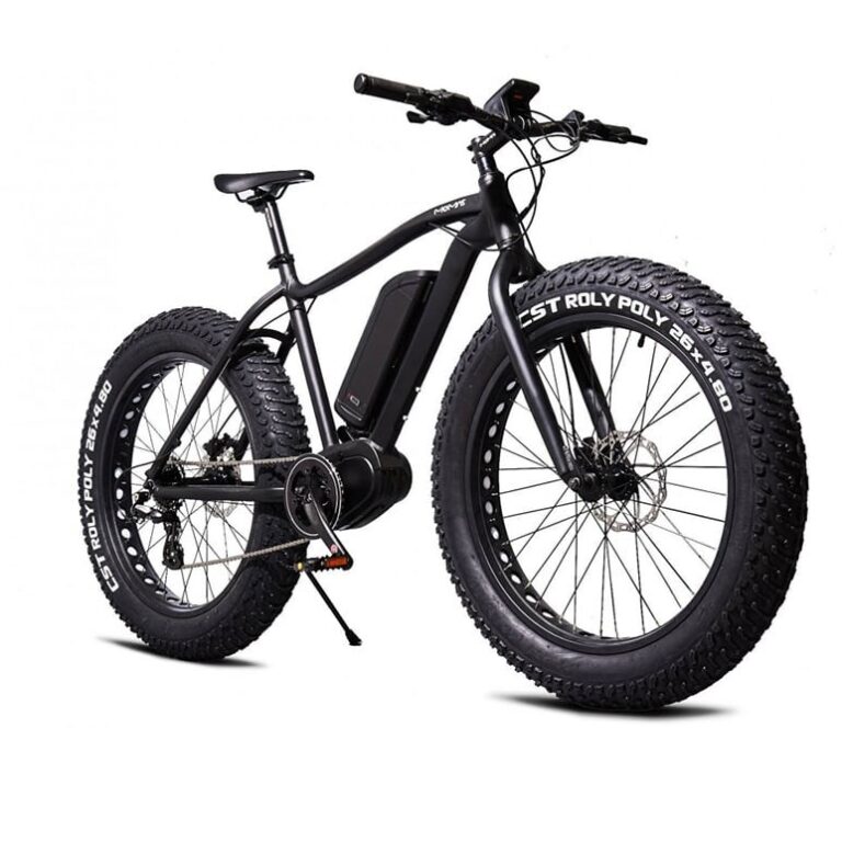 E-Wheels Hyllar 10-Årsjubileum med Fenomenala Priser på MOMAS F2 2023 – Fatbike, Elcyklar & Elsparkcyklar & en rad Tillbehör!
